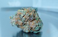 Demecan launcht bisher stärkste Cannabisblüte im Portfolio