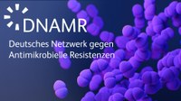 Deutsches Netzwerk gegen Antimikrobielle Resistenzen (DNAMR) gegründet