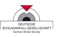 DSG: Spanische RACECAT-Studie verdeutlicht die Stärke des deutschen Schlaganfallnetzwerks aus regionalen und überregionalen Stroke Units