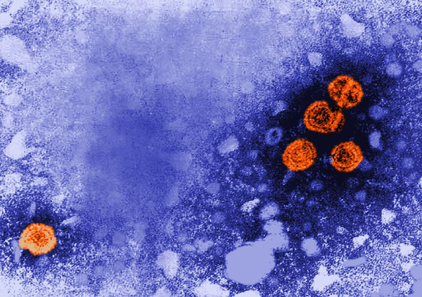Hepatitis B: Heilung ist das Ziel 